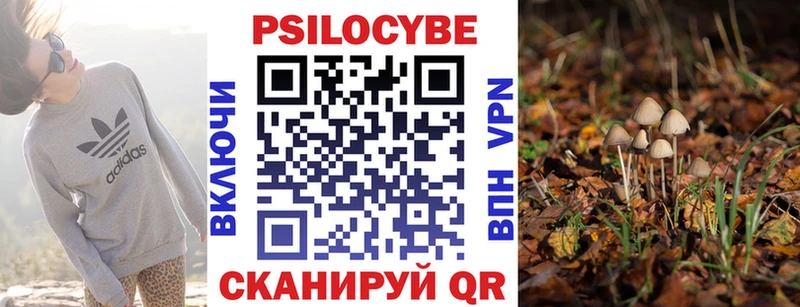 Галлюциногенные грибы мицелий  Находка 